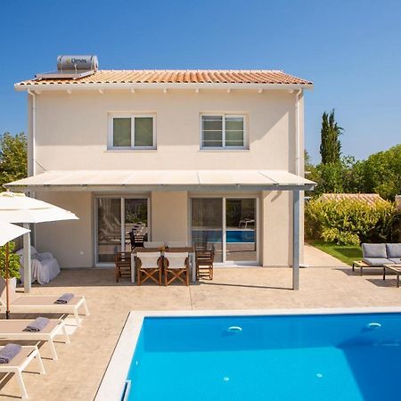 Grappolo Lefkada Villas - Vilana Ideal For Families And Small Groups Apolpaina Екстериор снимка