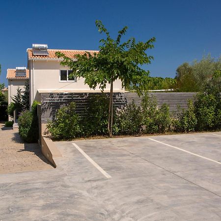 Grappolo Lefkada Villas - Vilana Ideal For Families And Small Groups Apolpaina Екстериор снимка