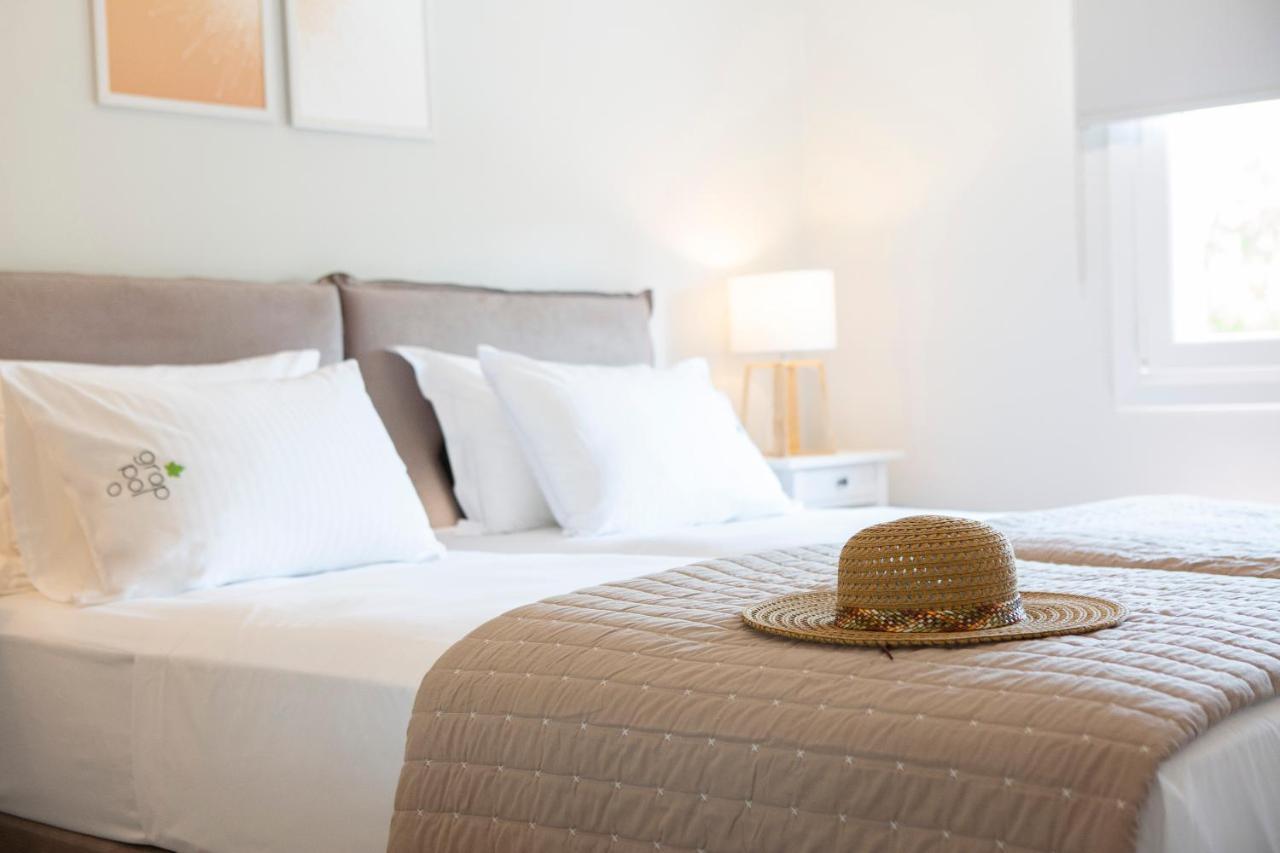 Grappolo Lefkada Villas - Vilana Ideal For Families And Small Groups Apolpaina Екстериор снимка